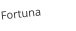 Fortuna